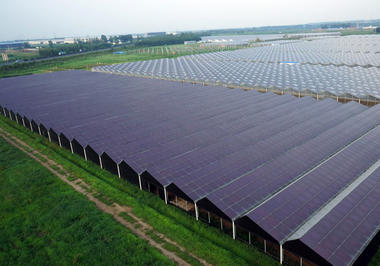 養(yǎng)殖大棚光伏項目申請流程 養(yǎng)殖大棚光伏項目申請流程